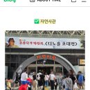 공룡맥주 | 공룡덕후박람회 후기(feat. 맥주축제)