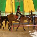 온혜초교 이미지