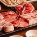 거북이동네울산삼산 이미지