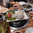 오징어이야기 이미지