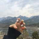 유블리네일 - 김해시 율하3로 33 | 유블리네일