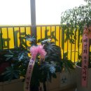 군포샘요양원 이미지