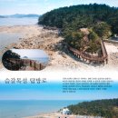 송석해의마을