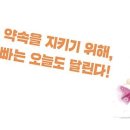 동물포