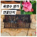 육영수생가 | ［충북 옥천］향수길 육영수 생가 연꽃 명소
