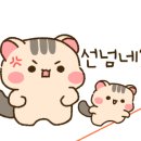 사리식당 이미지