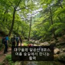 팔공산올레길 8코스 | 대구올레 팔공산 8코스, 여름 숲길에서 만나는 활력