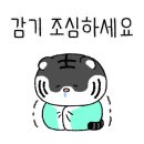 스피드광고 - 창원시 진해구 | 스피드광고