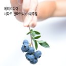 와니와니 이미지