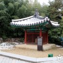 나무관광호텔 Daum카페