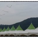 다산행정사사무소 이미지