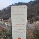 전남크리스마스카페 까망감카페 내돈내산 방문후기