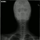 성신헬스 이미지