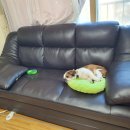 우리교통 이미지