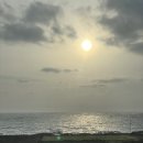 [나 홀로 제주 여행] 3일차 - 우도 밤수지맨드라미, 턴업 우도점, 블랑로쉐, 오조포구, 담백, 레이오버...