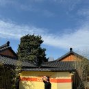 [데일리룩] 잇미샤 엄청 편하고 날씬해보이는 더블 웨이스트 밴딩 팬츠 실착용 후기