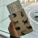 시드니 일반호텔 | 5일 오사카&amp;교토여행 첫째날(일본교통준비물/라피트교환권/일본지하철이용법/로하스호텔/오사카편의점털기)