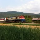 SHELTER PC 이미지