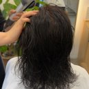 버블가이 | 서래마을 미용실 토니앤가이 반포점 지현디자이너 두피안상하는 새치 뿌리염색 후기