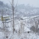 청미래 농장 네이버블로그