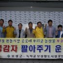 상인보성 이미지