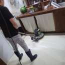 전광수세탁숍(본점) | 대구 카페청소, 카페트 정기세탁으로 공간을 관리하는 방법