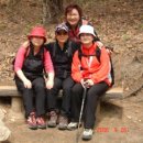 하루의 찬 이미지