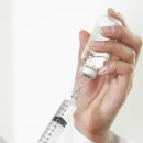 퍼피가든 이미지