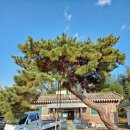 봉천마을회관 이미지