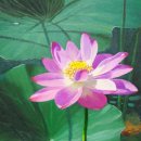 예인미술학원 - 천안시 서북구 백석4길 31 | 예인미술학원