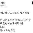 ANGPC방 Daum카페