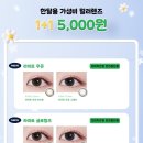 1001안경(검단점) 이미지
