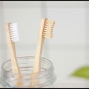 프로덴탈 이미지