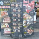 본세이로무시 이미지