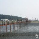 증도농장 Daum카페