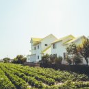 쥬크펜션 이미지