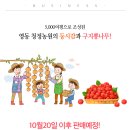 영동청정농원