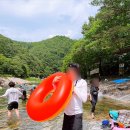 당북농협 파머스마켓 주차장 입구 앞 | [경북/성주] 성주포천계곡청수원, 평상대여가능한 곳, 대구 근교 물놀이 다녀왔습니다 ^^
