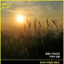10월. 한국의 탄생화 / 세계의 탄생화 이미지