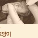 녹번동물병원