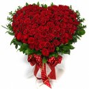 마르띠노 이미지