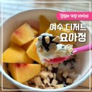 여수 요아정 요거트아이스크림의정석 초코코팅 황도 코코넛정크