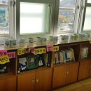 포항중학교 이미지