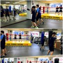 원펀치 복싱클럽 이미지