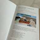 호텔나루 서울 엠갤러리 라운지 앤 데크 | 한강뷰를 바라보며 망고 빙수 먹고 온 후기