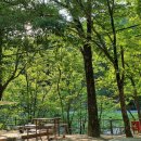 뱀사골자동차야영장 | 남원여행_대세 따라 차크닉/카크닉! 지리산 뱀사골자동차야영장 이용후기/캠핑요리+지리산 흑돼지 맛집까지