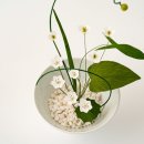 오브제-꽃과빛 이미지