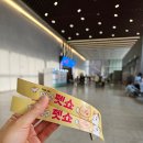 b.b.pet | 2026 대구 펫쇼 Pet show 관람후기 | 강아지 증명사진 후기