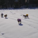 하늘자락 물소리 이미지