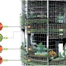 빌딩 농장, 국내에도 뿌리 내린다. 이미지